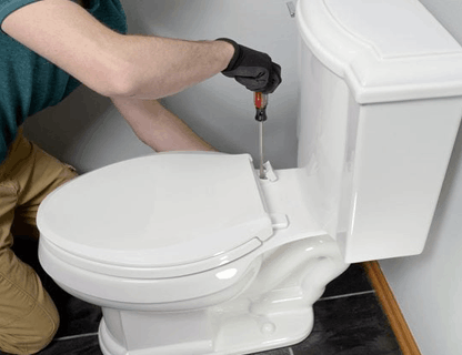 Toilet Replacement